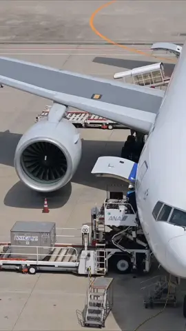 Jangan pernah memaksa dirimu untuk sempurna, tapi carilah tempat dimana kekuranganmu bisa diterima. #hanedaairportjapan✈️🇯🇵 #aircrafts #groundhandling #allnipponairways #4k #xybca #foryou 