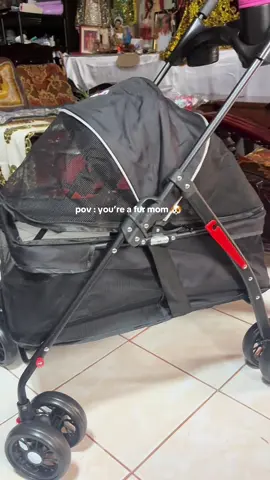 EGG FOLDABLE PET TROLLEY DOG CAT CART 4 WHEEL #petstrollers #petcart #foldablepetstroller 