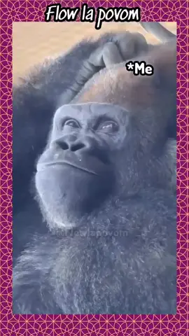 🤪🤪