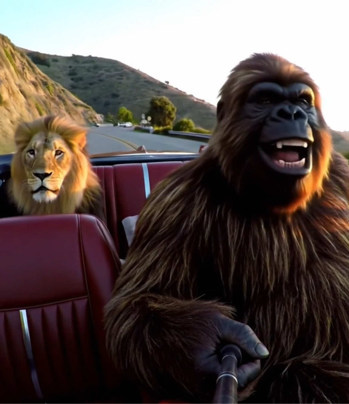 Dans la jungle, terrible jungle 😝 Abonne-toi ! #humour #Vlog 