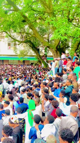 Keruk sheteteg mewlidu #ethiopian_tik_tok #mewlod💚💚💚 #mewlid #አንዋር_መስጂድ 