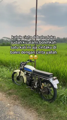 uwes kesel di apusi tros🥹 #cb_jeru #fyp 