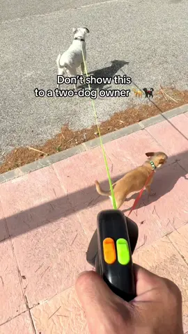 If someone sees this, there’s no turning back 👀 #DoubleDogLeash #NoMoreTangles #DogGadget #PetTok #MustHave #DogWalkHack #TwoDogsOneLeash #ViralOnTikTok #DogParents #LifeChanger It’s the viral double anti-tangle leash everyone’s talking about ❤️