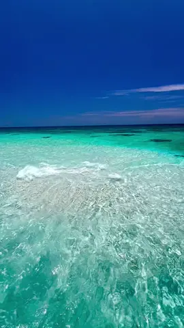 Crystal clear blue 💦🐬 #indianocean #crystalclearbluewater🌊 #tiktokmaldives🇲🇻 #whitesandbeach #visitkendhoo #sunnysideoflife☀️ #viralvideo #paradiseonerth #fypシ゚ #sandbank #blueisland 