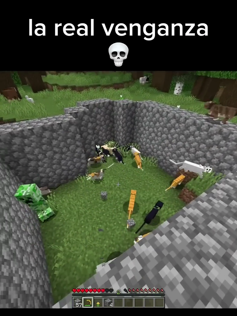 Don't check the sound 💀 #Minecraft #fyp #tiktokcreatorsearchinsightsincentive 
