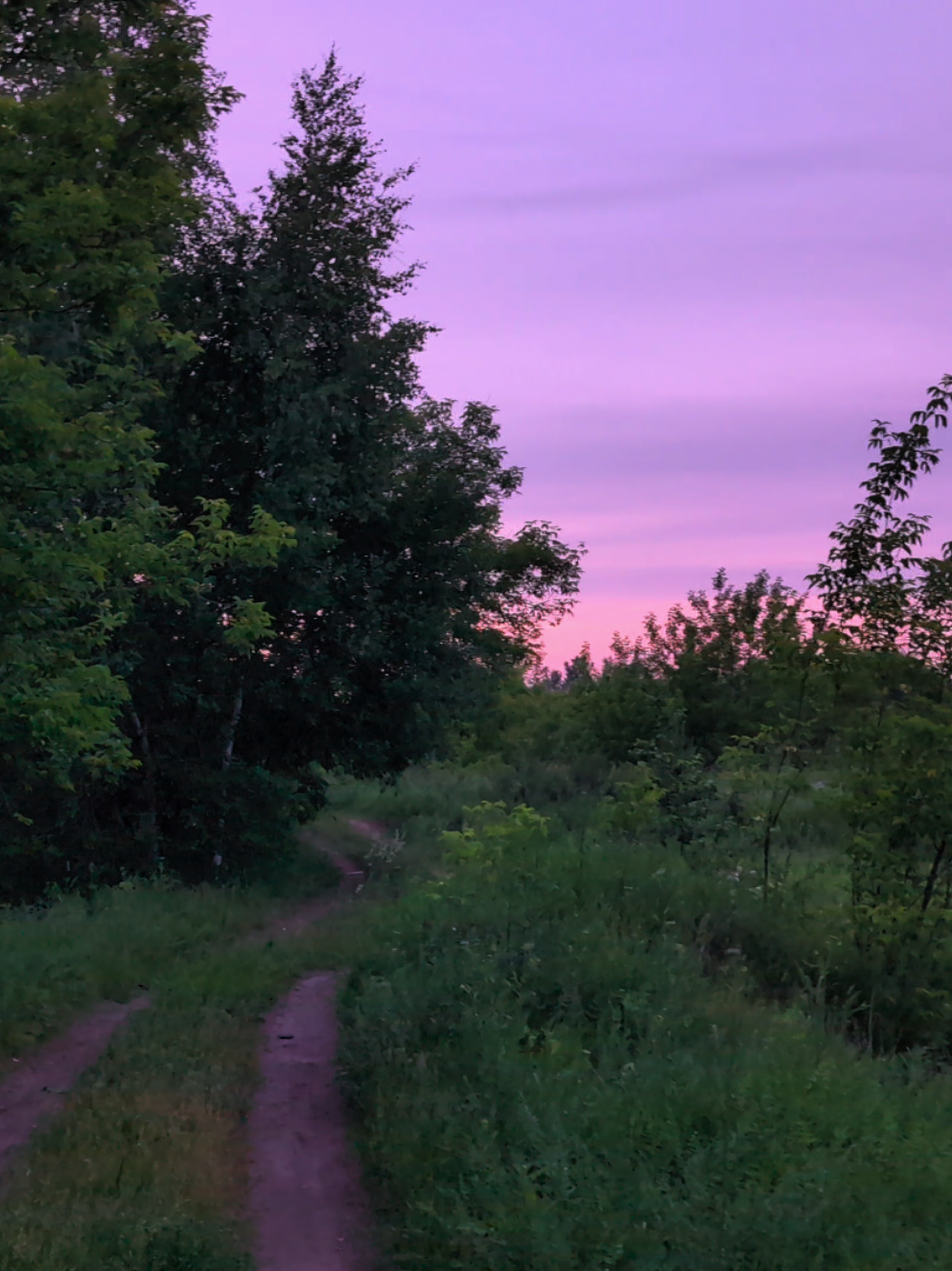 .                                                                                                                                                                                                #цой #вайб #vibe #спокойствие #calm #природа #nature 