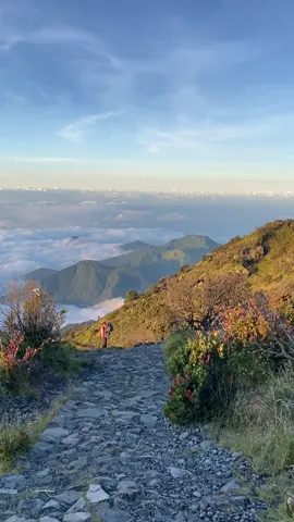 Belom bisa move on sama keindahan gunung Lawu🥹😍  #mentahan #mentahanvideo #bahanswmu #story #jatimpride #gununglawu #pendakigunung #pendakifomo #lawuviacemorosewu #storywa #gunungindonesia #pendaki #magetan 