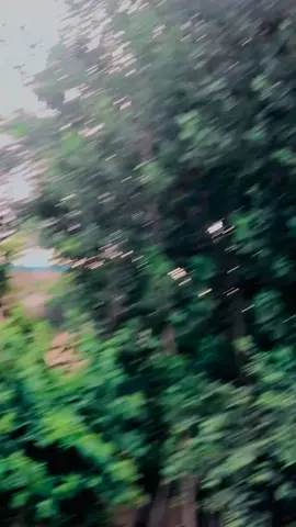 #viveproblem 