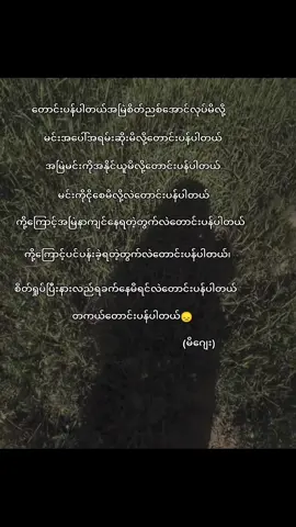 @KISS ✩ #တောင်းပန်ပါတယ်မောင်ရယ်😞💓 #မိဂျေး #tictok #fbyツforyou🤍🦋 #viewsproblem #fbbbbbbbbbbbbbyyy #fbyツ #fbyツ #fbyツ #fbyツ #viewမတက်လဲတင်တယ်ကွာ 