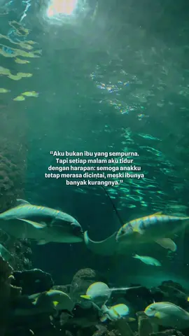 Sehat selalu anak ku, tumbuh berkembang dengan baik . Ibu dan ayah will give best for u #CapCut #fyp #fypシ゚viral #quote 