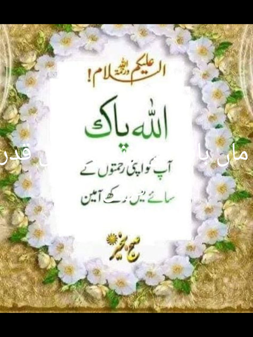 #zahidaparveen33 #beshak #kohi #shak #nei #maabaap #ki#zjngi_mein_qadar_kerrin #foryoupage #tiktokviral #likeshere 