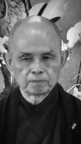 Sư ông Thích Nhất Hạnh nói về Mầu Nhiệm Chúa Ba Ngôi. --- #kitôgiáo #christian #chris #christiantiktok #chúagiêsu #catholic #cônggiáo #cônggiáoviệtnam #cầunguyện #thichnhathanh #god #trinity #chúathánhthần #thiênchúa #mystic 