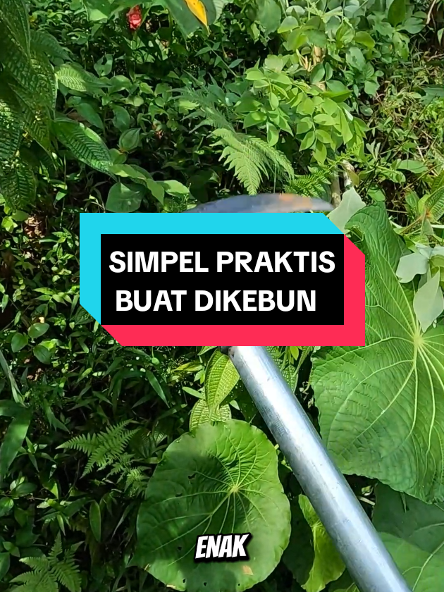 Pemangkas Tanaman 3 in 1 bisa jadi sabit jadi kapak jadi egrek ranting tanaman simpel praktis #pemangkas #pemangkastanaman #pemotongdahan #pemotongranting #alatpertanian 