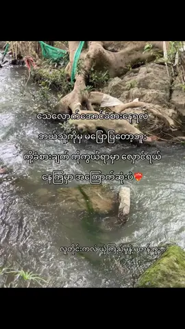 တကယ်#livephoto #🥇 #fypage #trend #fyp #tiktokuni #trend #ရောက်ချင်တဲ့နေရာရောက်👌 #nature #trending #tiktokmyanmar #စာတို #cr7 #couple 