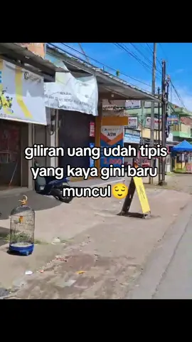 #celana #jogger #panjang #olahraga #joging 