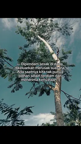 #sadstory  #qodarullah 