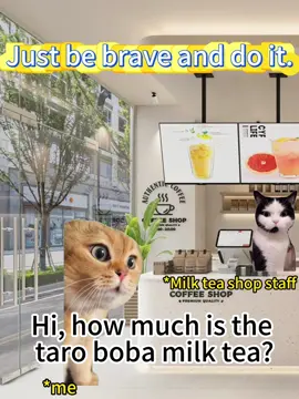 Just be brave and do it.😂😂#meme #memecats #tiktokcats #cattok #fyp #foryoupage #fypyou #catsoftiktok #catdrama #dogood #viralvideo 