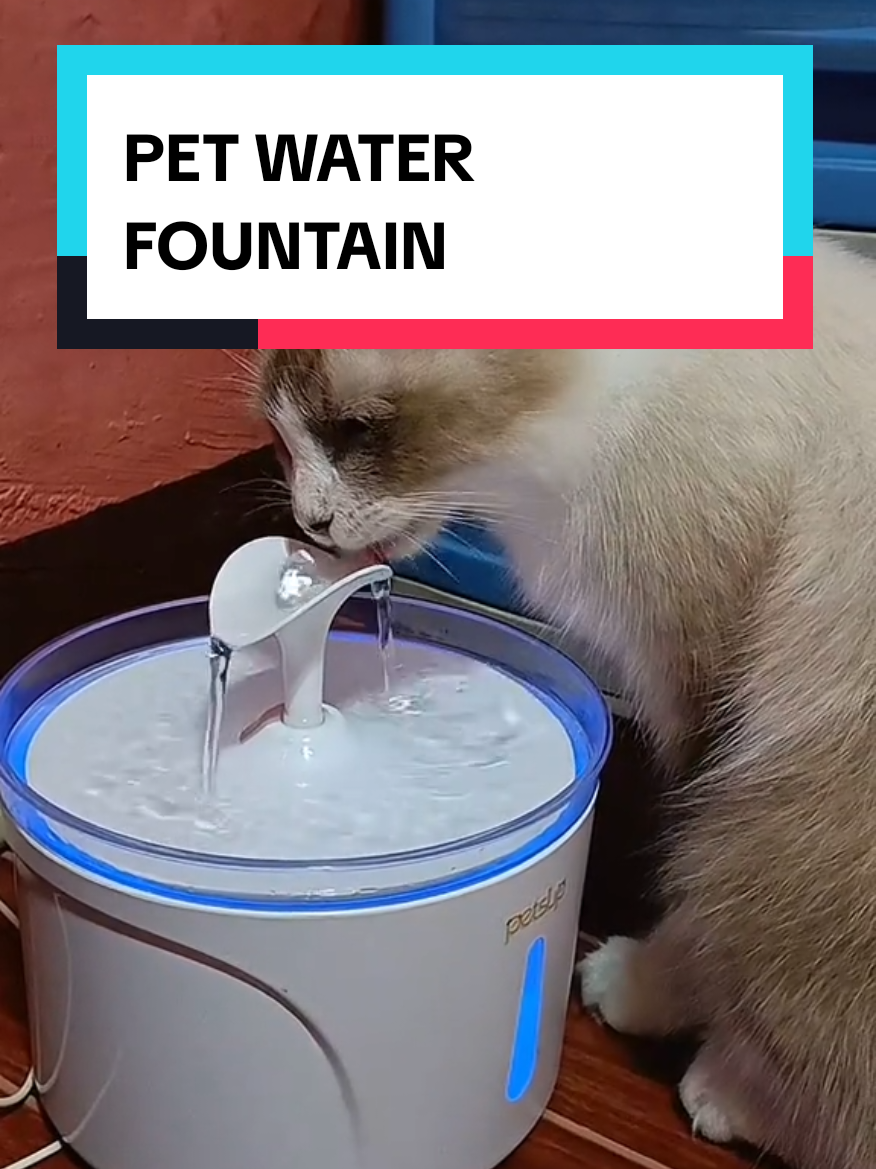 Kaya never nagka UTI mga cats ko kasi nag invest tlga ako sa inuman nila mas malakas sila uminom ng tubig kapag may water fountain sa bahay 😊 #petwaterfountain #catwaterfountain #waterfountain 