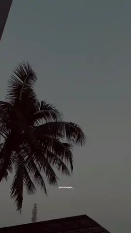 🥺🙏#mr_jaani0914 #fypシ゚viral #viralvideo #growmyaccount #statuswhatsapp #punjabisong #🥀💔🥀 #moodoff😔🥀🖤 #heartbroken #foryou 