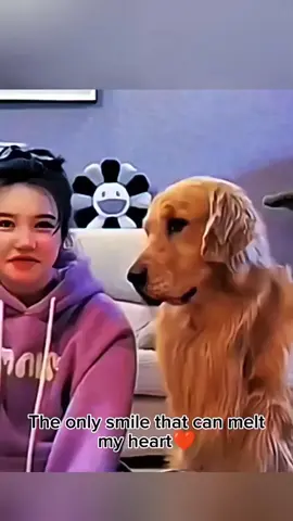 dog's sincere feelings 😘❤️ #funny #funnyvideos #animals #pet #cat #dog #cute #foryou #typ