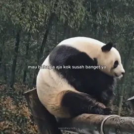 kata orang kan bahagia itu sederhana, jadi sekarang aku cuma pengen bahagia :) #panda #sedih #galau #viral #fyp #foryou 