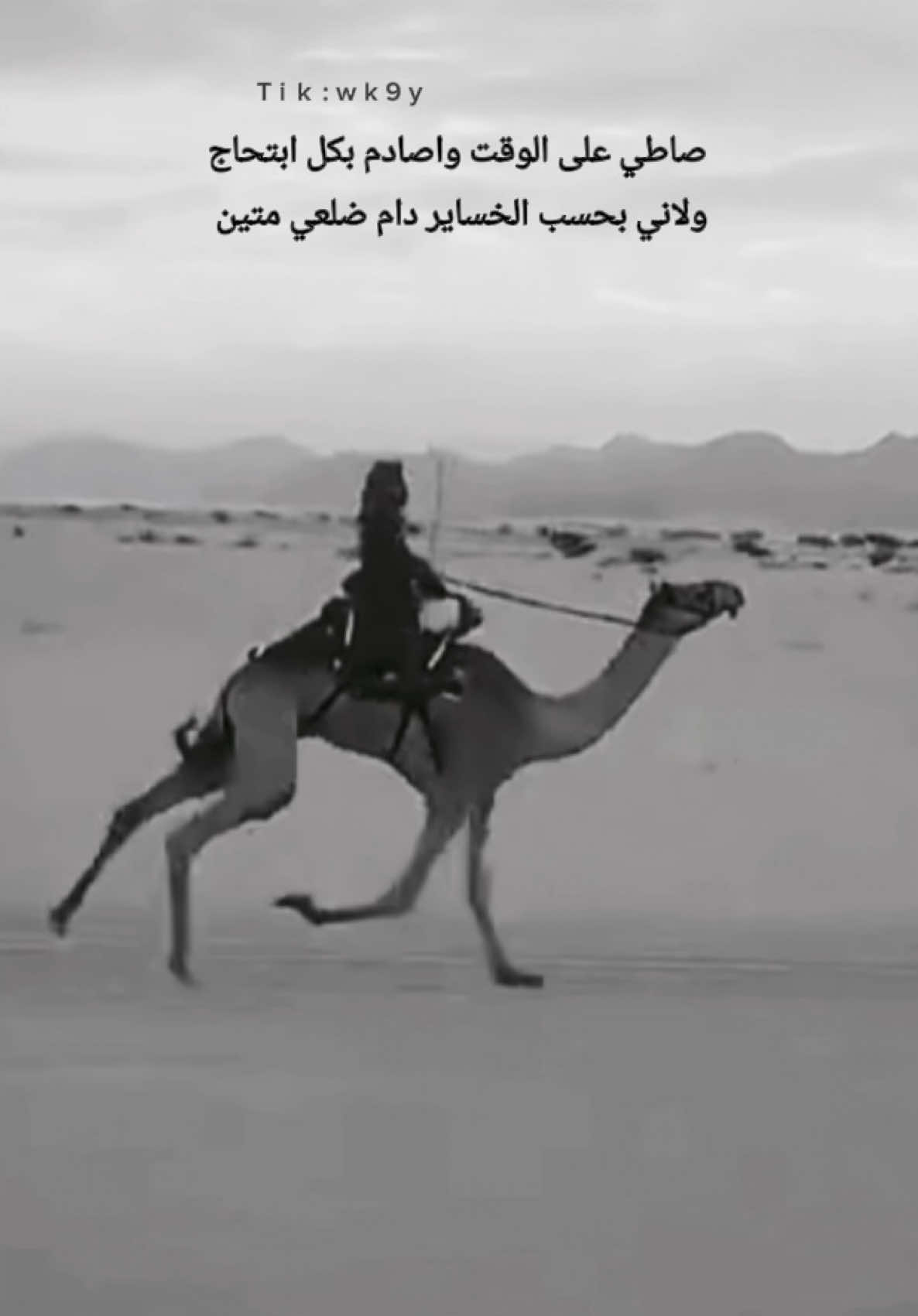 #اكسبلوار #تصاميم٪#هجن_توثيق #لايكات #معزوفه #اول_فيديو_ليا_على_tiktok #طرب #بتاع_كلو #هجن #تبوك_الورد_تبوك_تيماء_ضباء_حقل #شمال #تبوك_الآن #تيماء_تبوك_الممكله_العربيه_السعوديه #الهجن_العربية_الاصيلة #وين_الترند#🥇 #نجيب_الاول #منورين_جميعآ🔥❤️ 