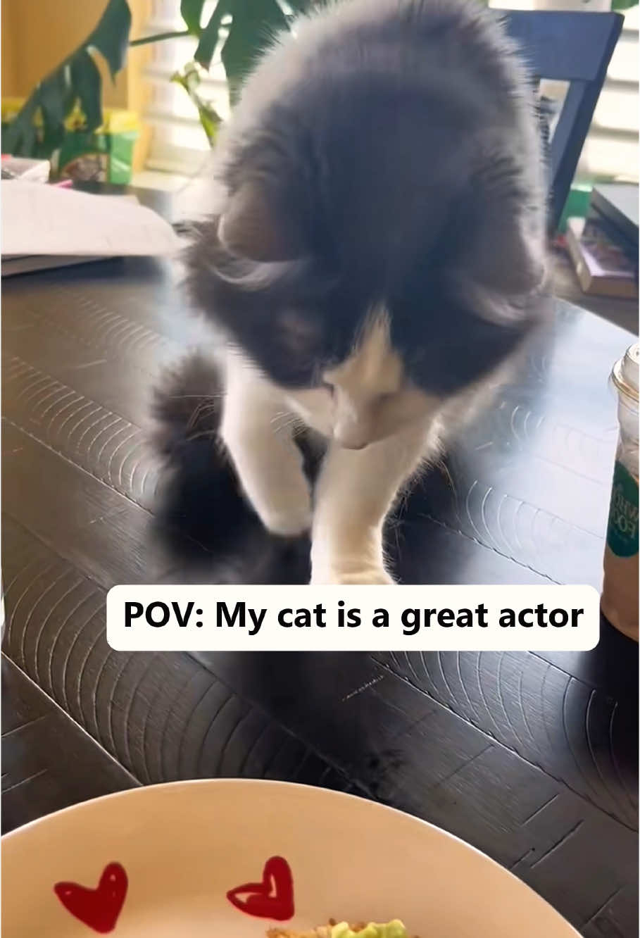 My cat is a great actor #fyp #foryou #cat #cats #catsoftiktok