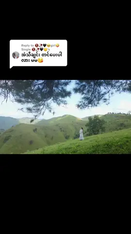 Replying to @🚷🥀🖤🥺girl🤪 Single 🚷🥀🖤🤥 #တင်ပေးလိုက်ပီနော် #kachinsong #follower 