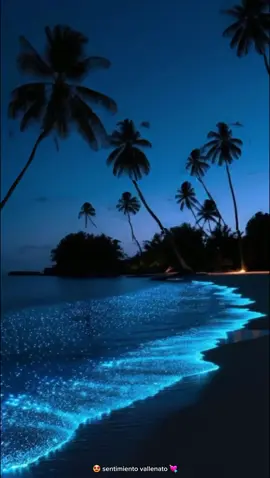 primavera azul #memataraelsentimiento #losinquietosdelvallenato #nelsonvelasquezvallenato #vallenatizate #despechovallenato #sentimientovallenato #estadosparawhatsapp #reels__tiktok #reels #paratiiiiiiiiiiiiiiiiiiiiiiiiiiiiiii 