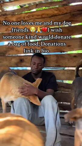 Donation link in bio . #explore #emergency #dogfood #fyp 