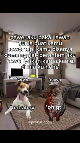 #creatorsearchinsights kelakuan betina #meme #memekucing #kucingtiktok #kucinglucu #kucing 