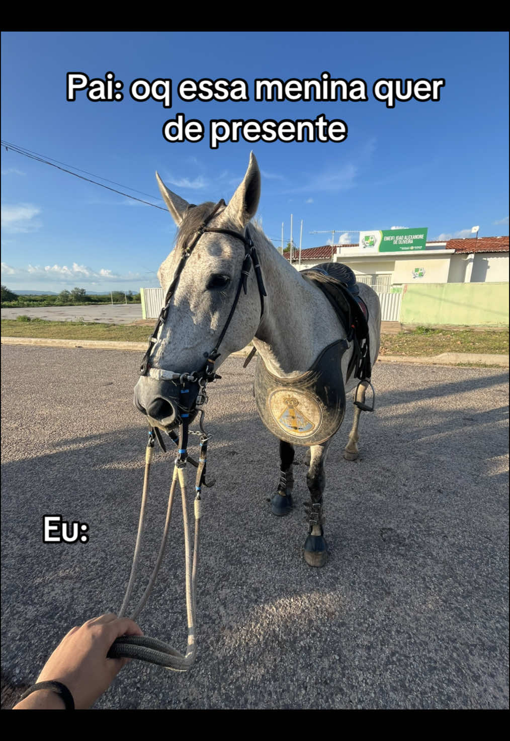 Anotem aí dia 17 de janeiro, quero que me tragam um cavalo kkkkkkkkkk #fyyyyyyyyyyyyyyyy #fyp #fy #vaquejada #cavalo 