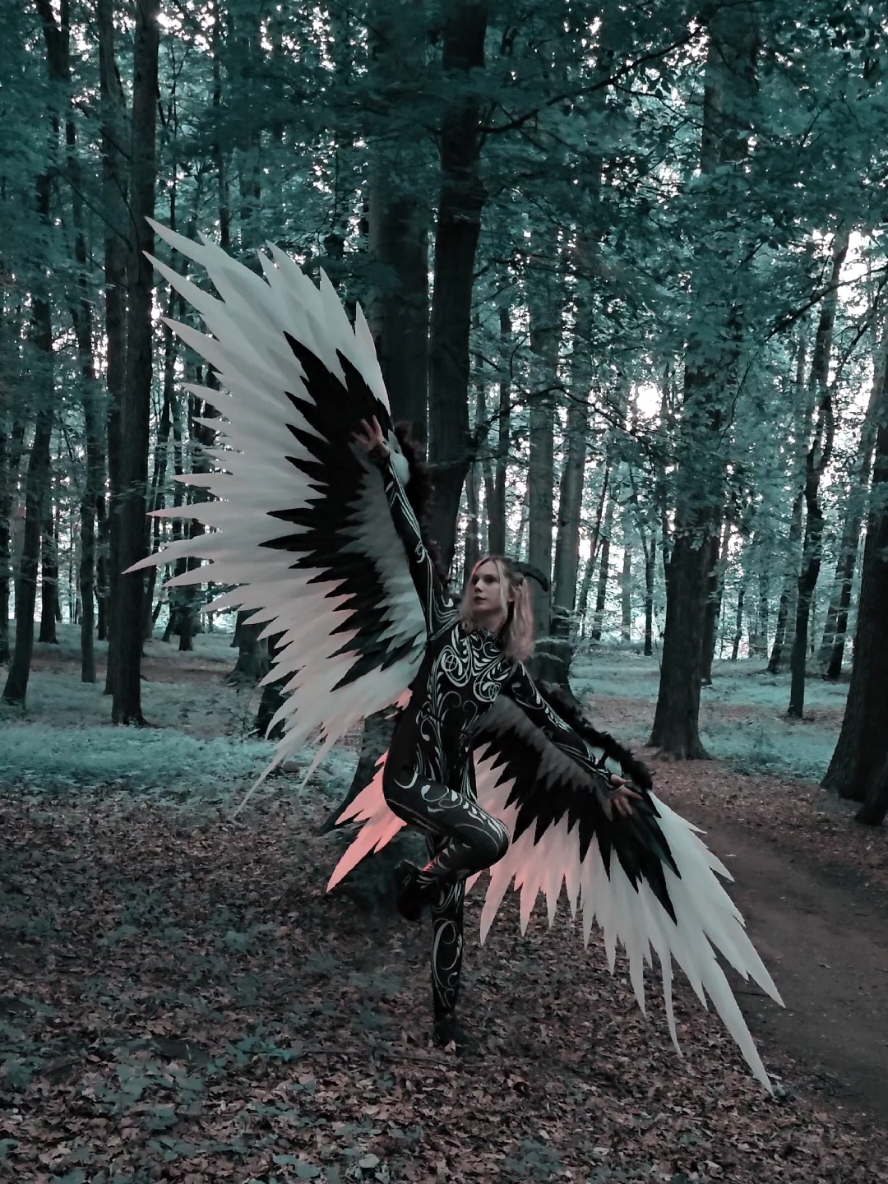 #wings #dancewings #angelswings #angel #handmade #craft #craftwings #wingsuit #dancesuit #cosplay  #photoangel #photosession  #skrzydłaanioła #Engelsflügel #Alidangelo  #ангел #крыльяангела