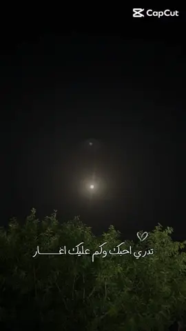 #تدري كم أحبك وكم عليك أغار❤️          #الفنان راشد الماجد #اكسبلور❤️ #fyp❤️ 