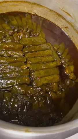 اي والله قمه السعاده