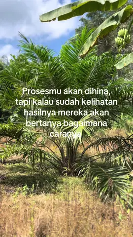 #foryou #fypage #xyzbcafypシ #masukberandafyp #sawittiktok🌴🌴🌴 #petanisawitindonesia🇮🇩 #fyp #fyppppppppppppppppppppppp 
