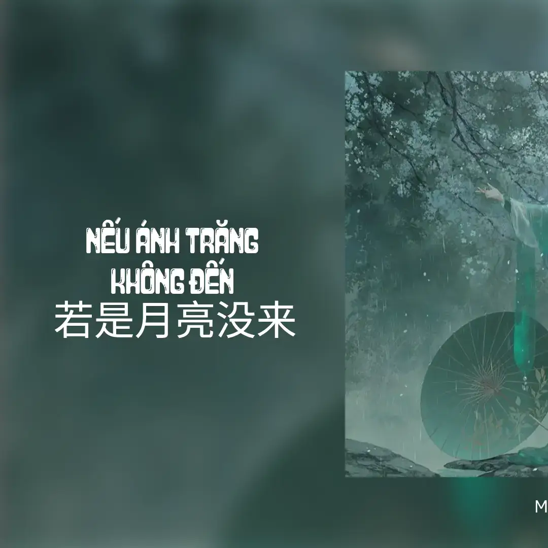 #amnhac #nhactrung #neuanhtrangkhongden #若是月亮没来 #xhtiktok #videoviral 