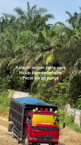 info ukhti dong😂 @Wa-one@Novalll_@ᴍᴀꜱ ʜᴀɴ@🅰️ N G G A. 🅰️DI  @arief tolle@𝘽𝘼𝘽𝙔 𝙏𝙊𝙎𝘾𝘼@Jefrizal07@moment_@𝓡𝓮𝓱𝓪𝓷_@Rio_bocil part2@Senopatii_  #masukberandafyp#lewatberanda#viral#viralvideo#sawitontiktok#trukmodifikasi 