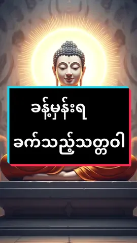ခန့်မှန်းရခက်သည့် လူ့သဘာဝ Human, the unpredictable #humor #ပါချုပ်ဆရာတော်ဘုရာကြီး🙏🙏🙏 #buddha #VNVideoEditor 