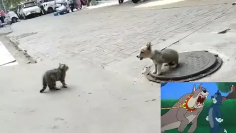টমেন জেরি ফমান