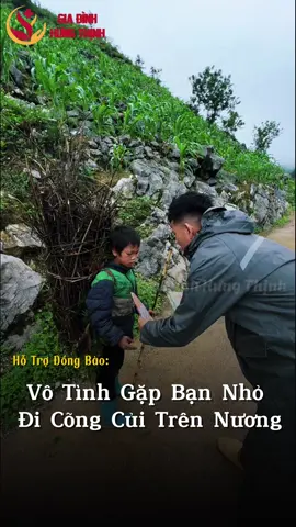 Vô Tình Gặp Bạn Nhỏ Đi Cõng Củi Trên Nương #giadinhhungthinh #caohohungthinh 