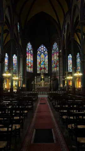 🖤 #gothic #cathedral #gothicarchitecture #paris #eglise #fyyy #parigi #architecturelovers #artlover #artshare #gothicstyle #eglisecatholique #landmark #viralvideos #france 