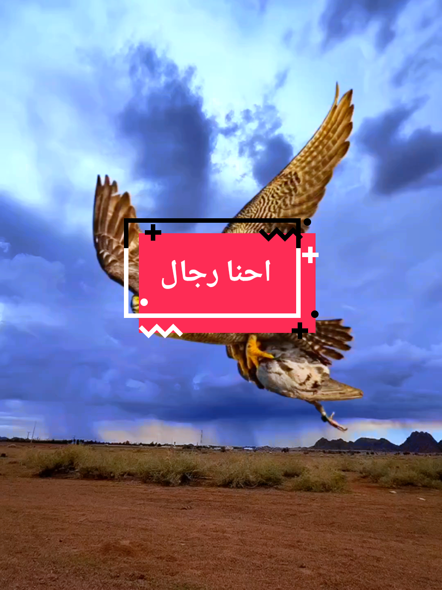 قصيده عن عزة النفس احنا رجال للصعايب  #قصيد #شعر #ابيات_شعر #قصيده_شعر_بوح_كلام_من_ذهب #قصيده_شعر #ذواقين #شعراء_وذواقين_الشعر_الشعبي #شعرشعبي #بوح #حروف مبعثرة 