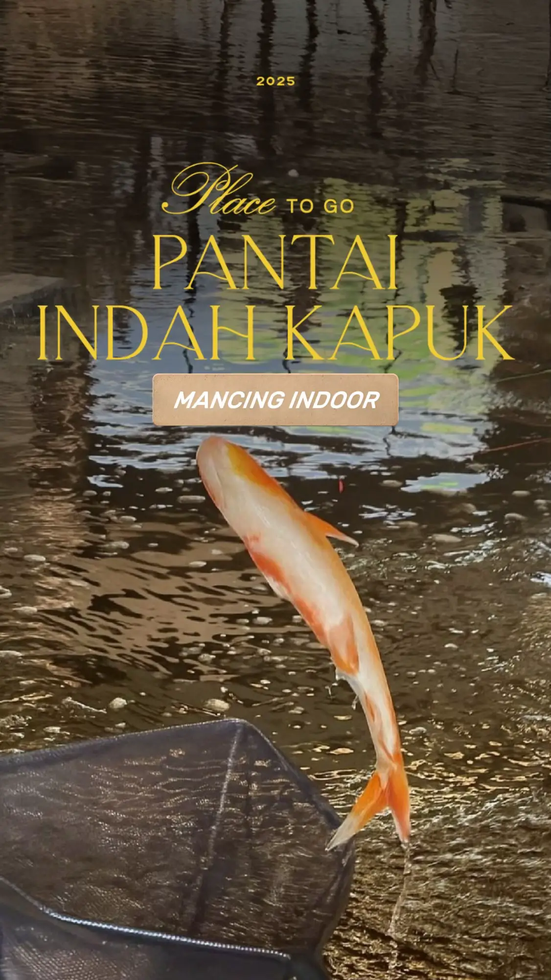 Ide weekend, lomba mancing di PIK lokasinya deket IDD, mancing mania! matapancing!  📍Entertainment district, PIK 2 🐟🐠🐡🍣 #pik2 #fishinc #idd #fyp #mancing