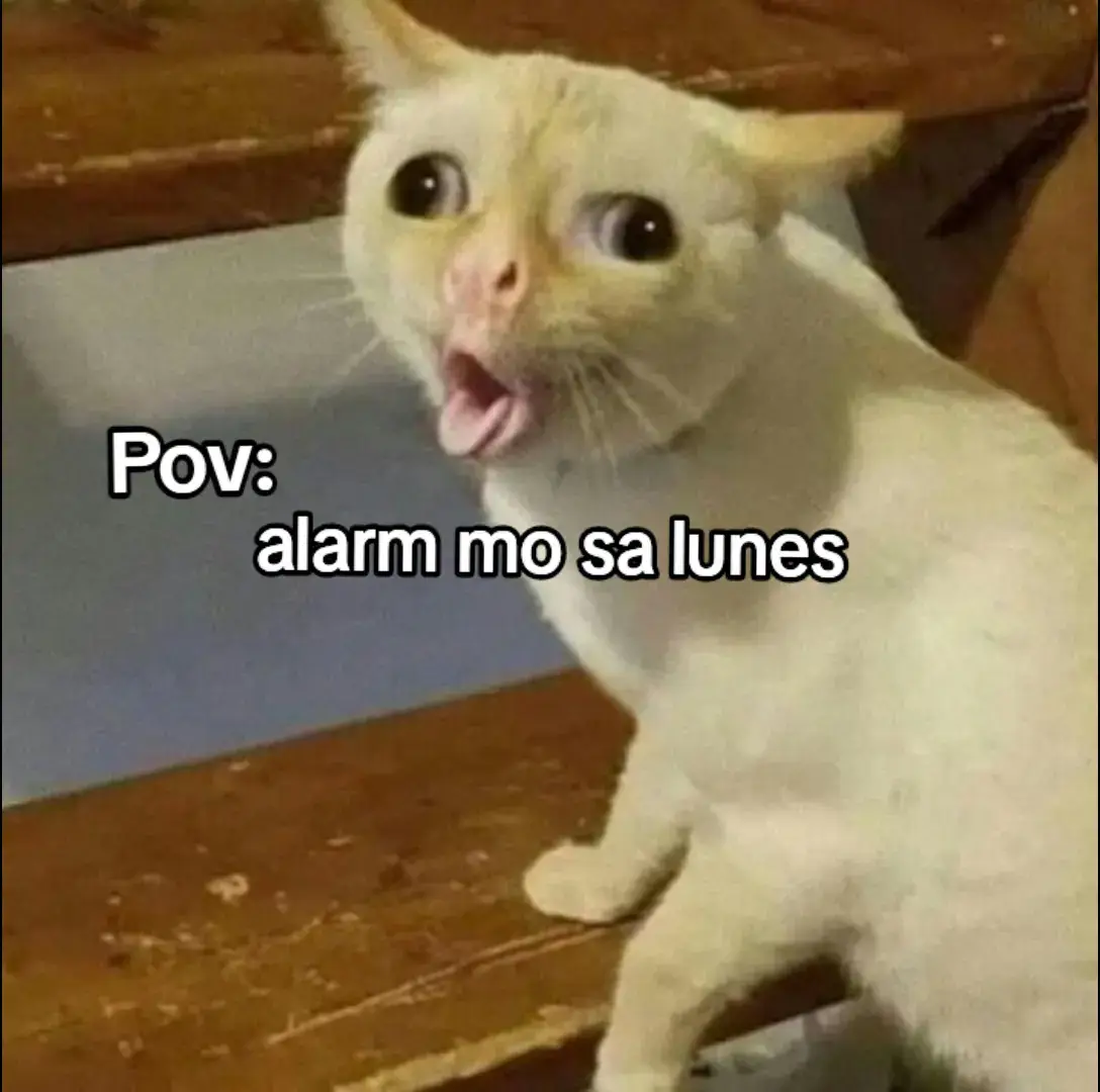 #hotmariaclarasanya #hotmariaclaradancechallenge #hotmariaclara #alarmclock #alarm #budotsremix #sanyalopez #sanya #danaya #danaya_encantadia #sanya_lopez #drafts #draf #random #fyppppppppppppppppppppppp #relatable #goviral #dameungrr #zxycba #jet2vibe #jet2holidays #jet2 #dontflop #trendingtiktok #ilayyy #fyp #fypシ゚viral #fypシ #fypage #capcut #fypmototiktok😾 #trendingsong #trend #trending #trendingtiktok #trendingsound #trendingnow 