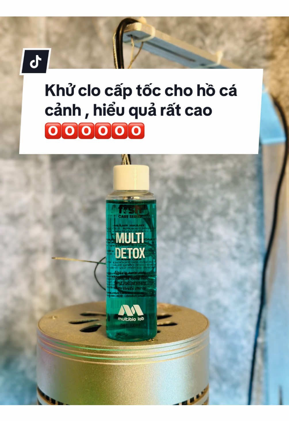 Khử clo cho bể cả , khử clo nước máy #khuclohocacanh #khuclochobecacanh #phukienbecacanh #phukienhoca #tuancariview 