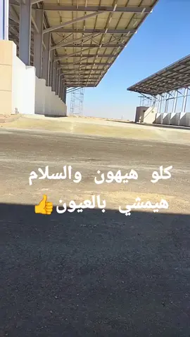 #رجع #القائد #للغابه💥🦁👑 @♡MoHa🦅Med♡ 