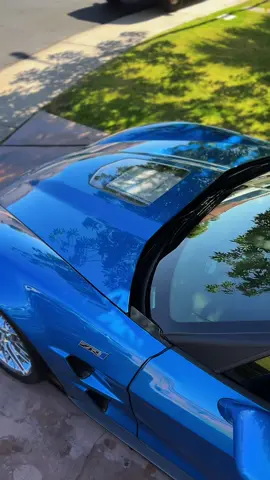 Top 3 American car on the market, but it’s not 2 or 3… 🇺🇸🦅 #corvette #c6 #zr1 #zr1corvette #american #america #americanmuscle #muscle #bluedevi #c6corvette 