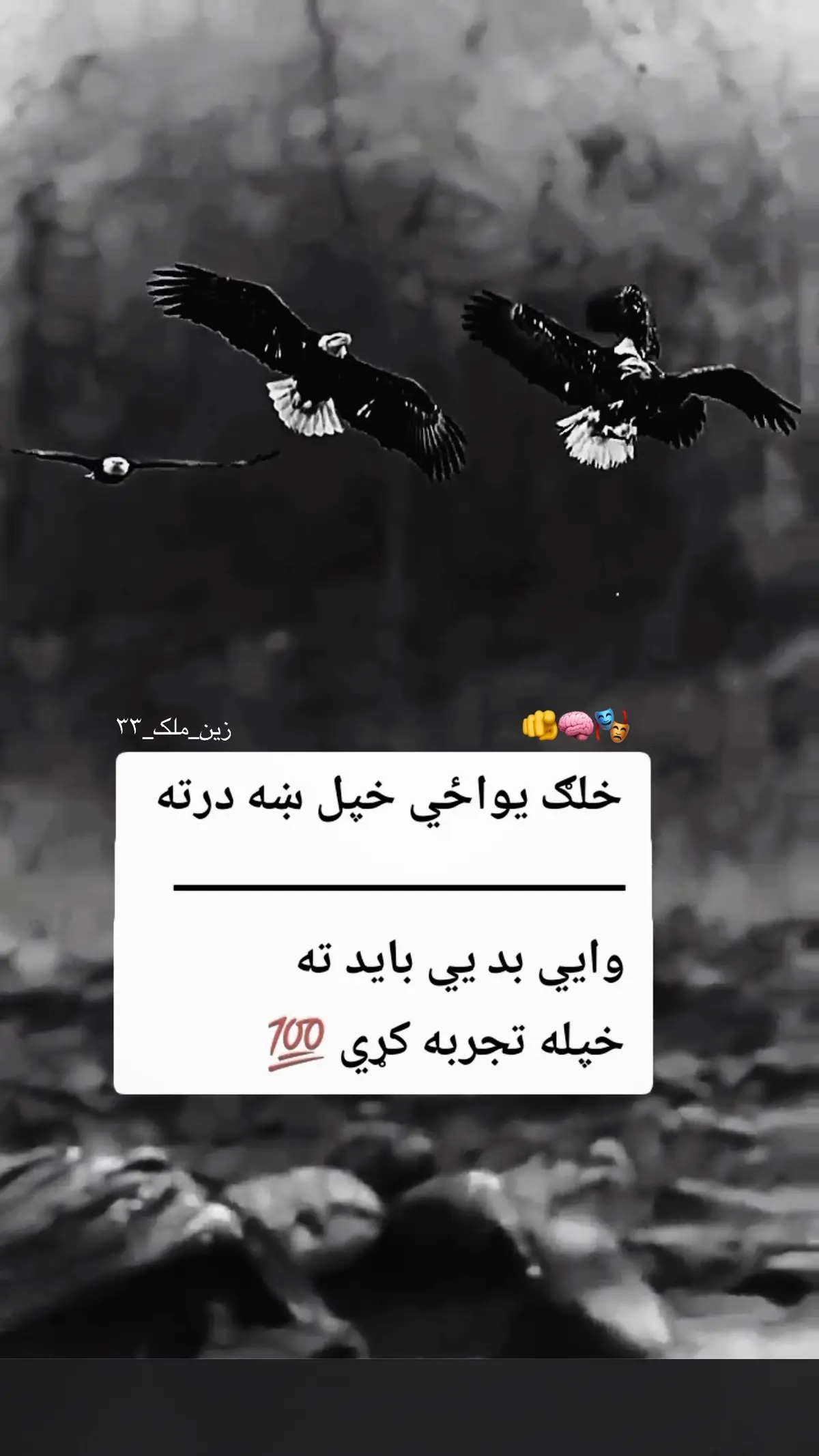 #واورئ #پشتون #ھوقربان #پشتون_تاجیک_هزاره_ازبک_زنده_باد🇦🇫 #fyppppppppppppppppppppppp 