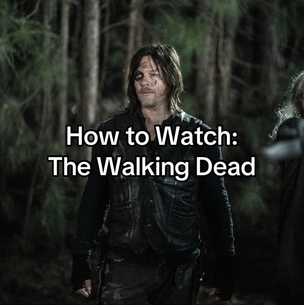 Lots of seasons. #thewalkingdead #series #viral #fyp #chronologicalorder 